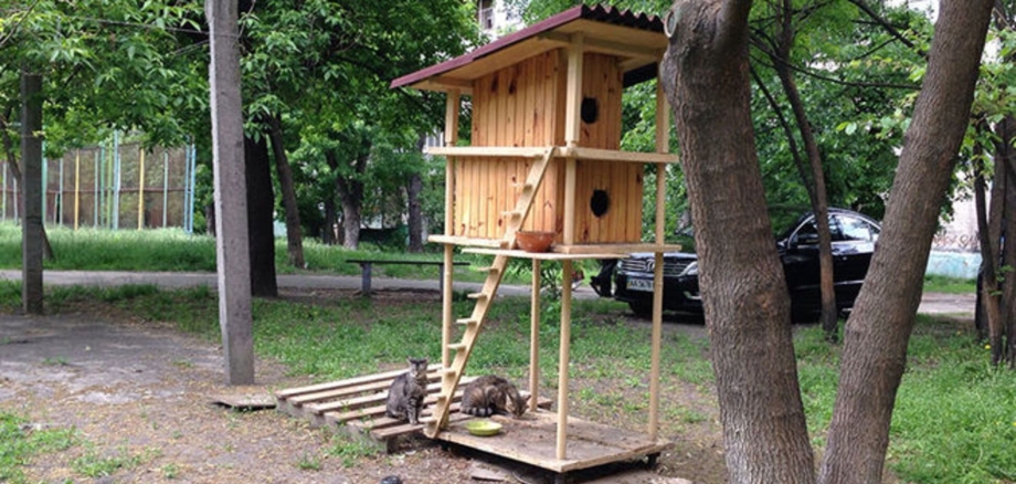 Дом для кошек на улице