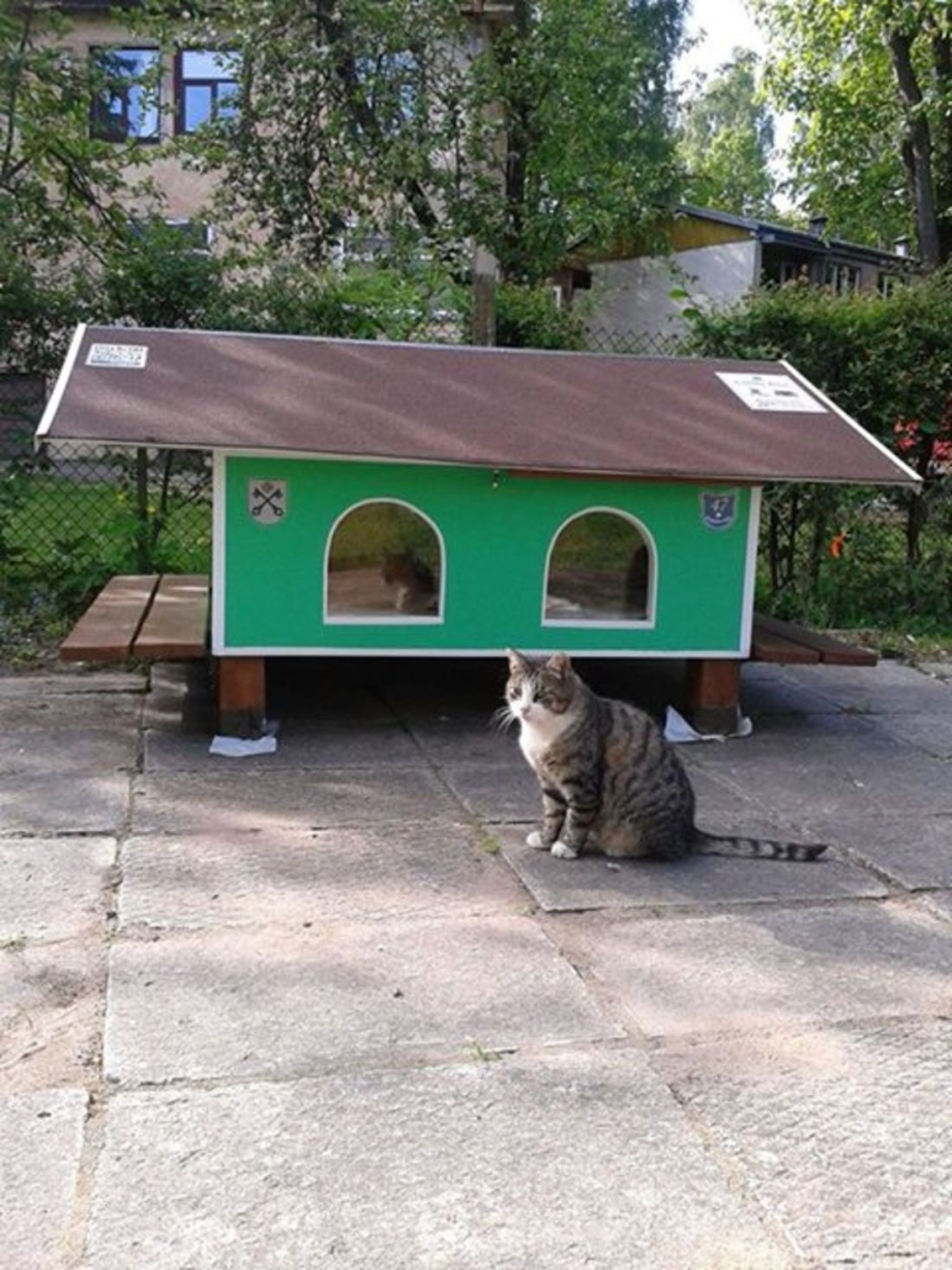 Домики для бездомных кошек