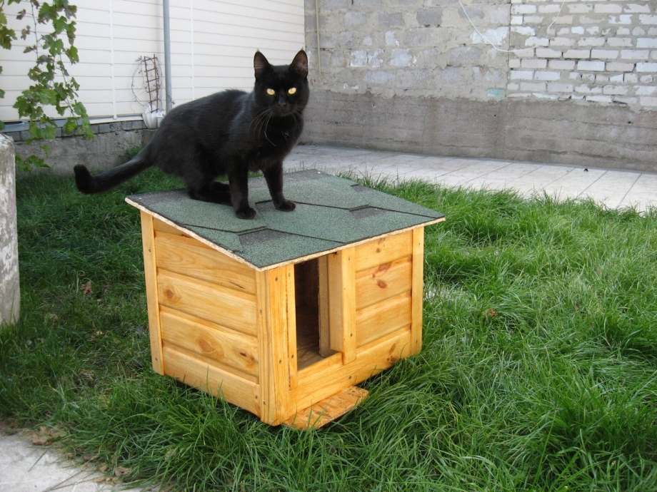 Уличный домик для кота