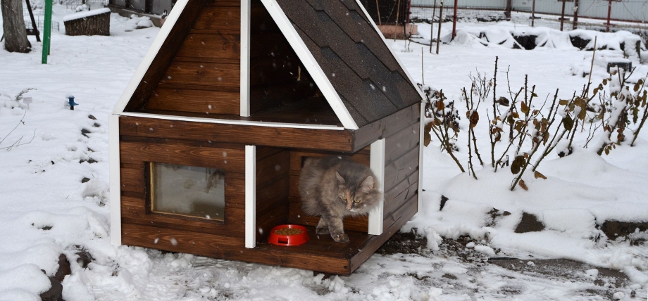 Уличные домики для кошек зимой