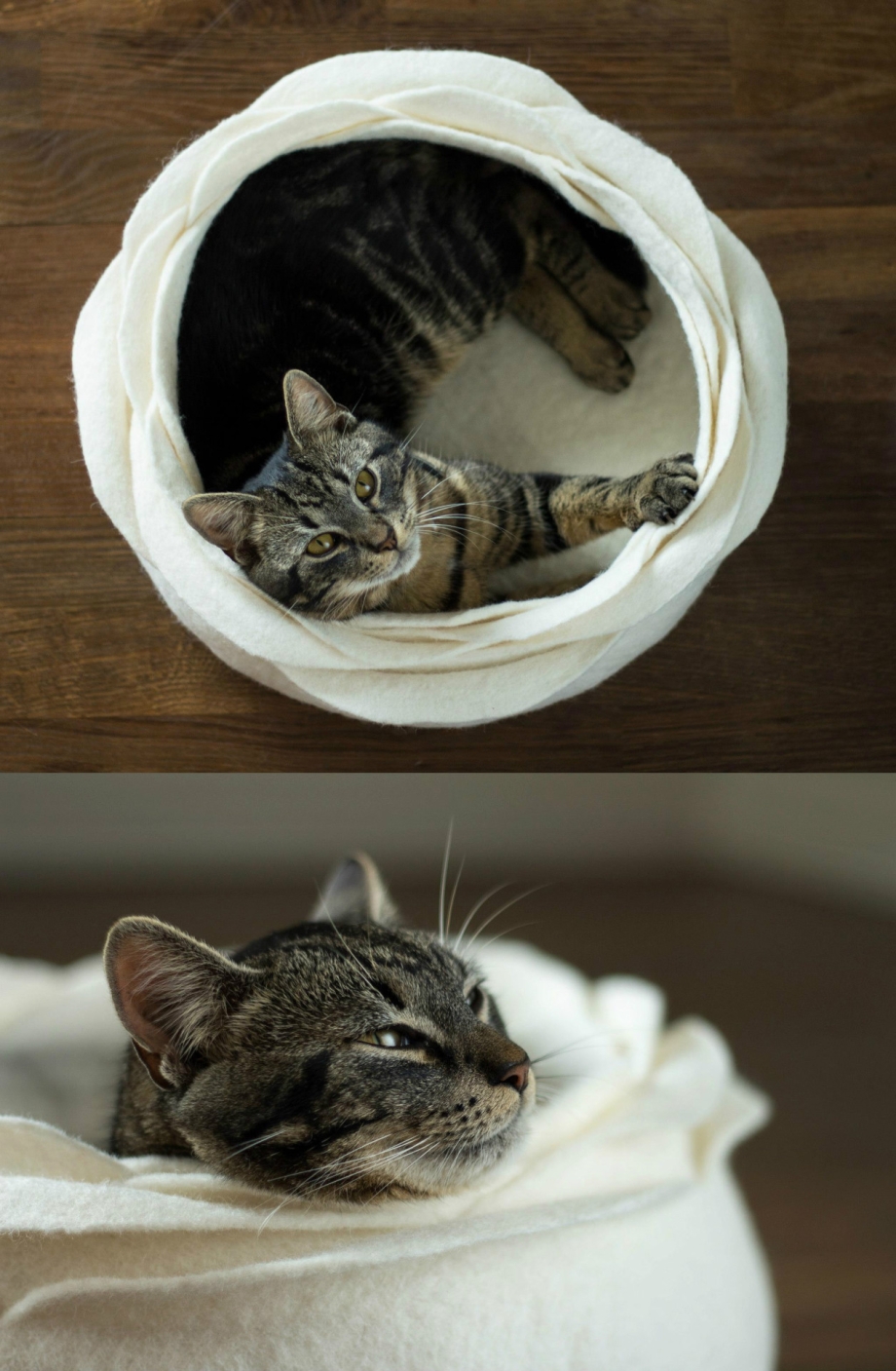 Кошачьи гнездышки