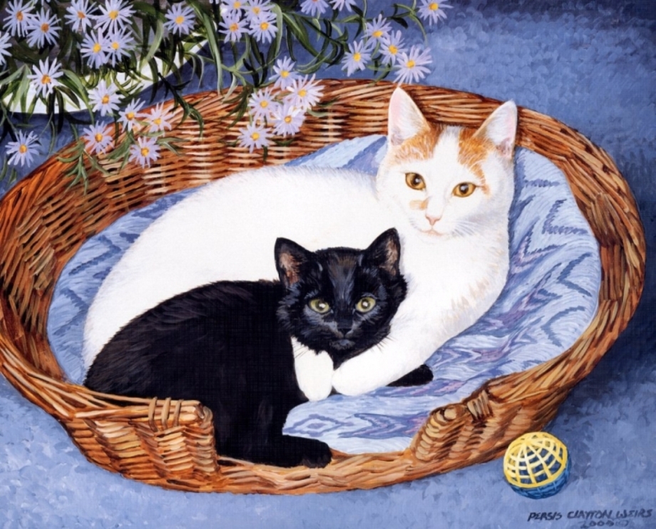 Кошки Персис Клейтон
