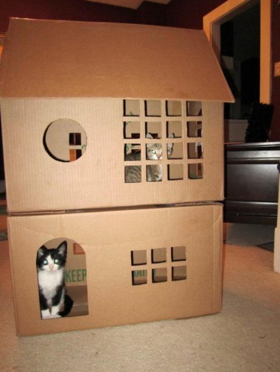 Домики для котят из коробок
