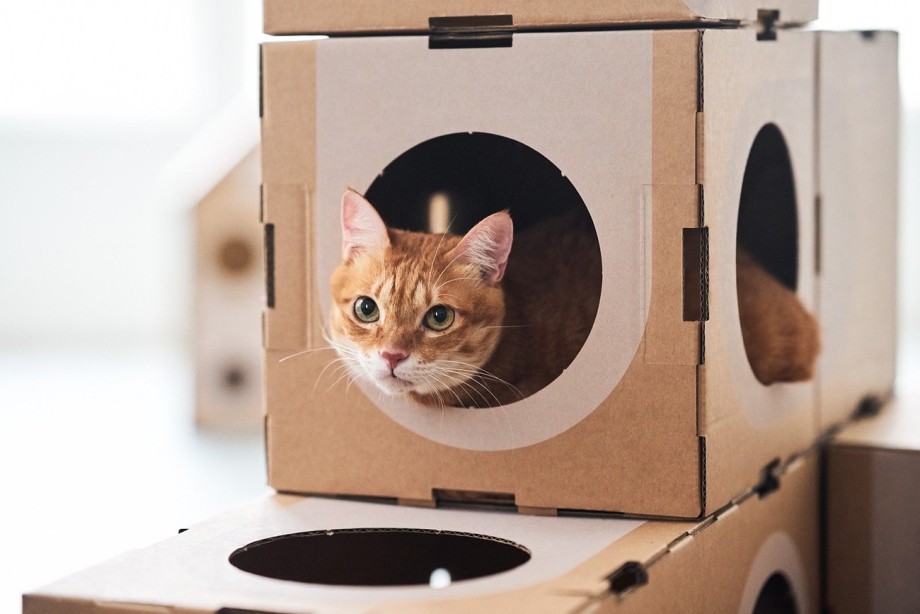 Домик для кошки из коробки
