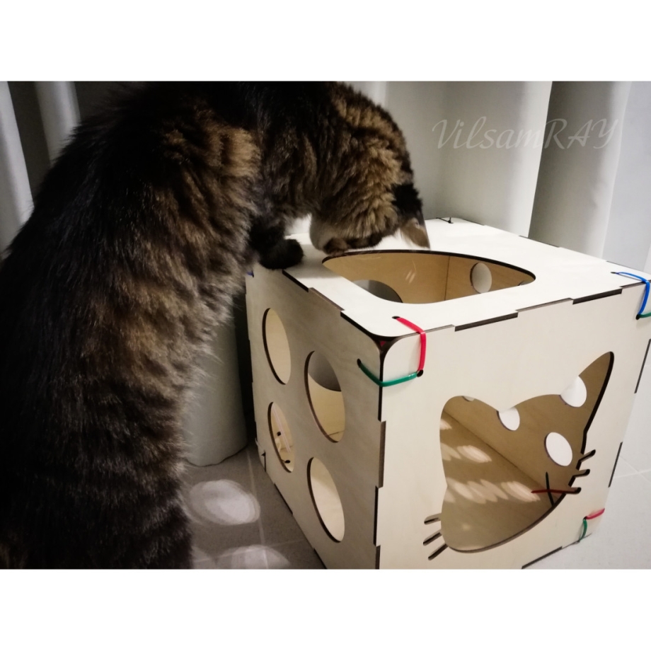 Коробка для кошки