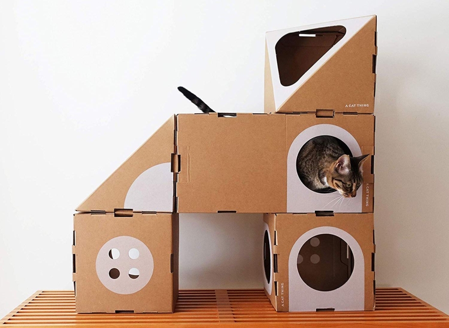 Кошкин дом из картонной коробки