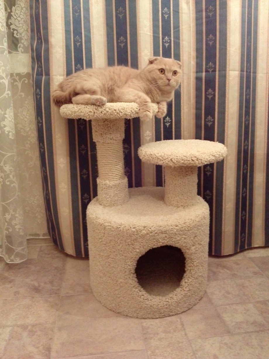Кошачий домик