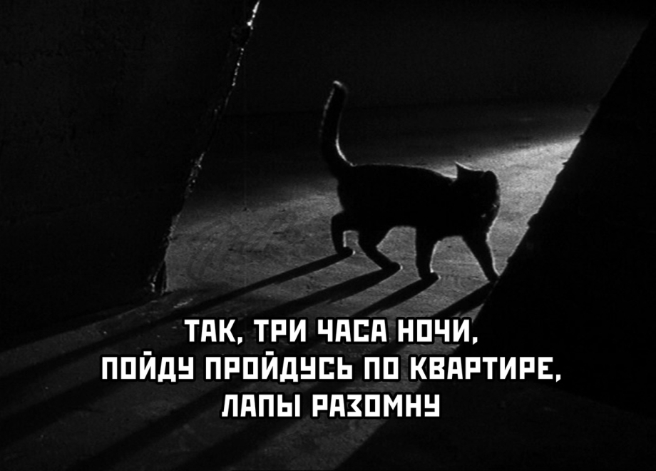 Кот с открытым ртом