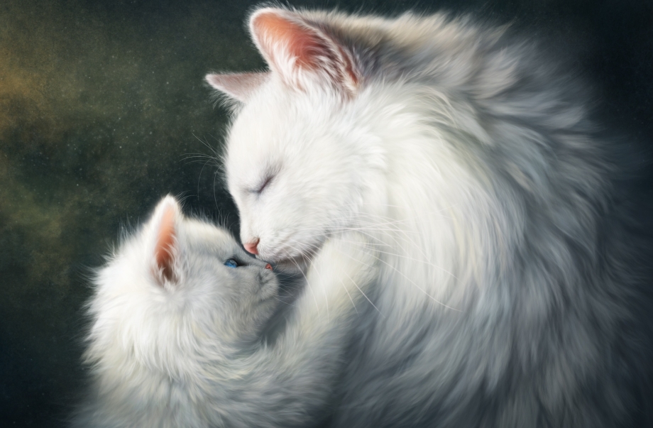 Котики арт