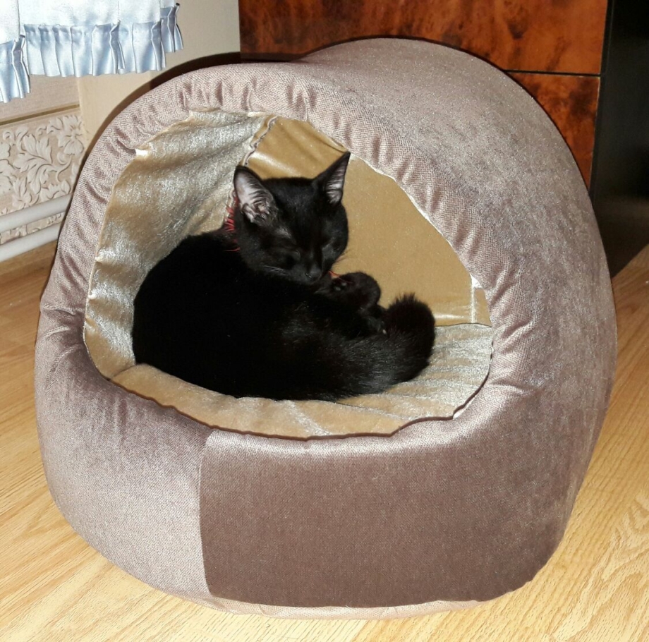 Лежак для кота своими