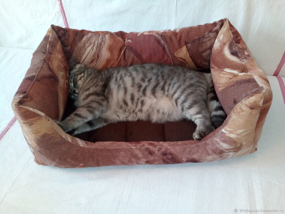 Кошачья лежанка из коробки