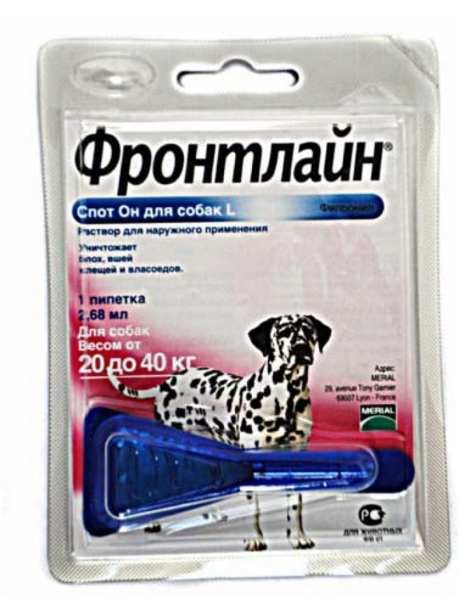 Фронтлайн для кошек