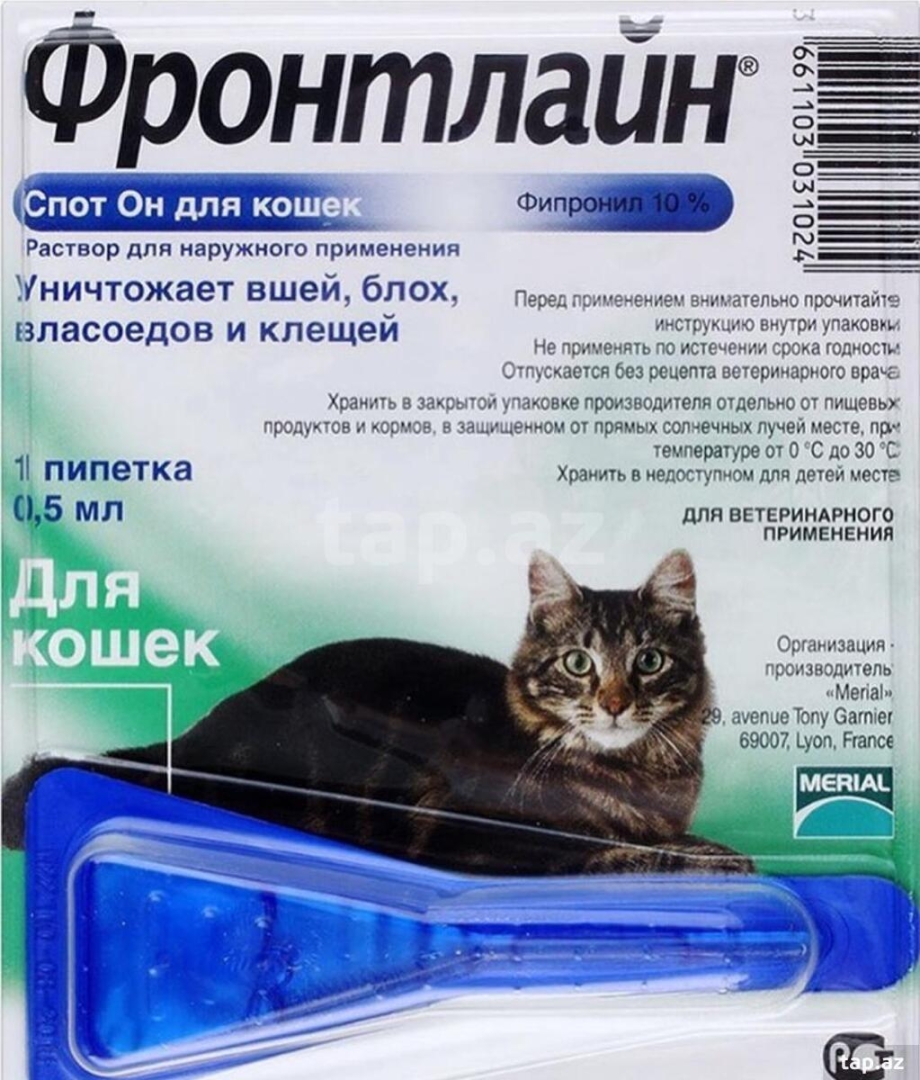 Эффективное средство от клещей для кошек