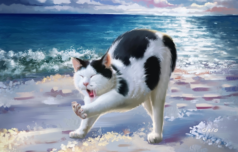 Кот на фоне моря