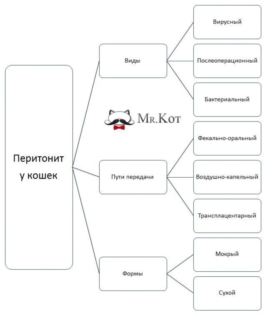 Инфекционный перитонит кошек возбудитель