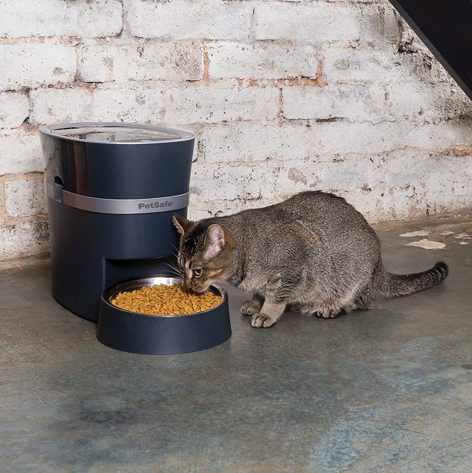 Petsafe Smart Feed
