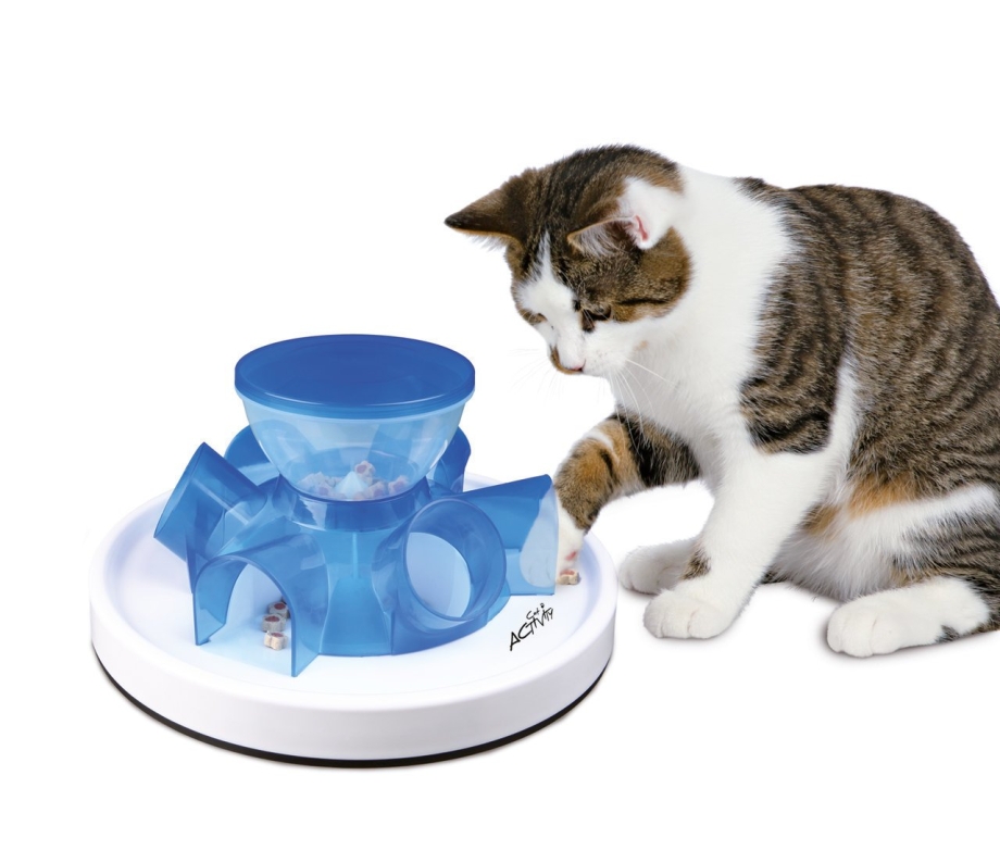 Trixie Cat activity