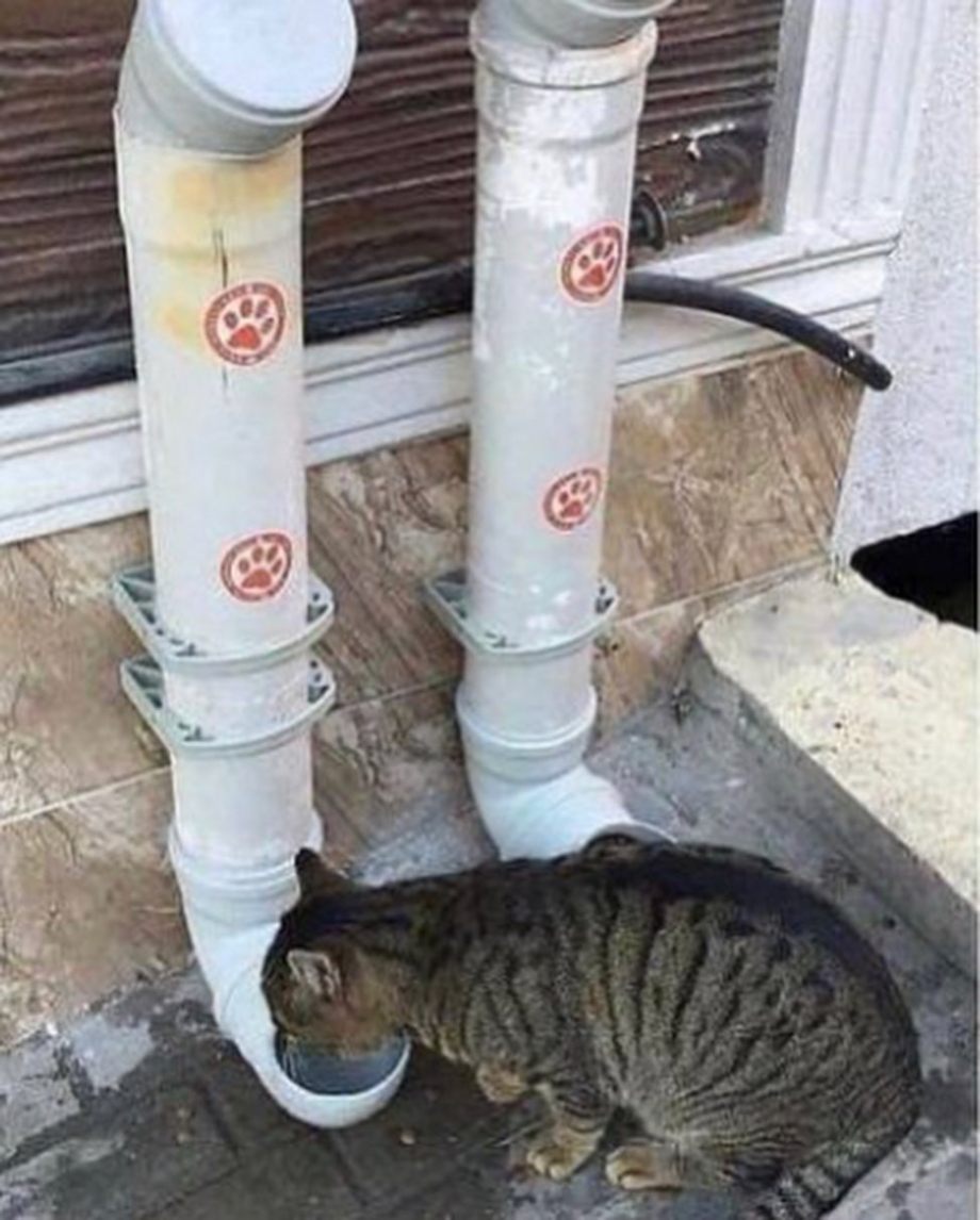 Кормушка для кошек из трубы