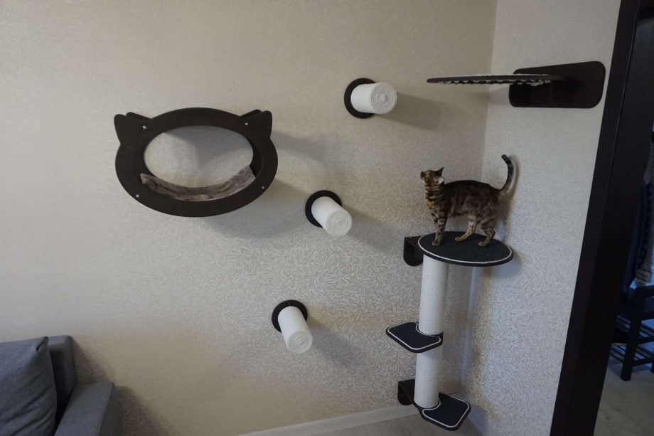 Кормушка для маленьких котят