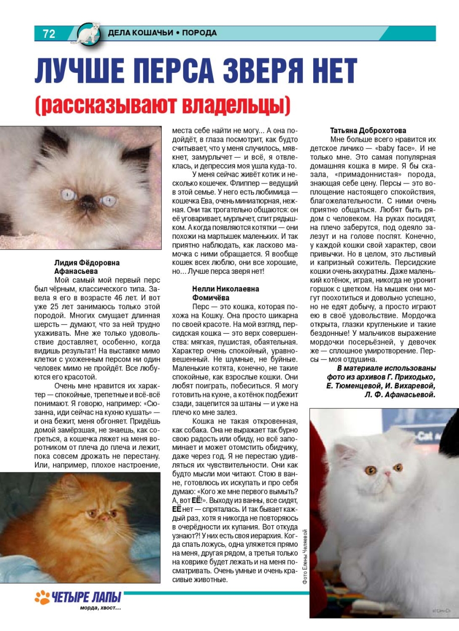 "Русская голубая"