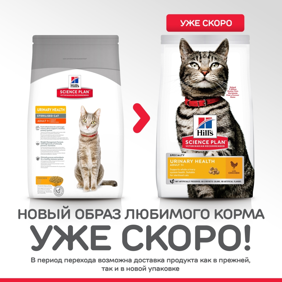 Сухой корм forza10