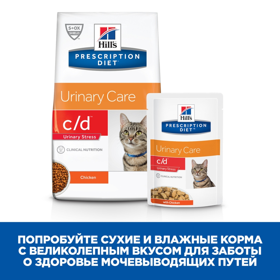 Royal Canin intense Hairball 34