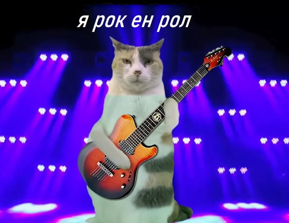 Кот с гитарой