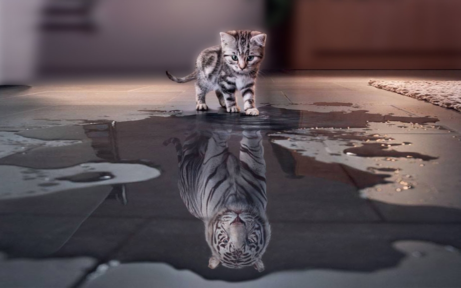 Котенок в отражении тигр