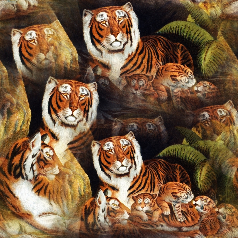 Кот автопортрет тигр
