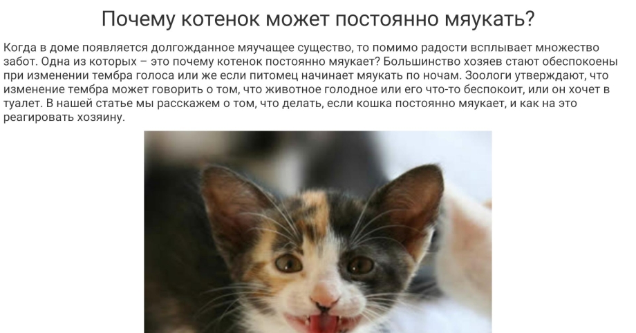 Котенок постоянно мяукает