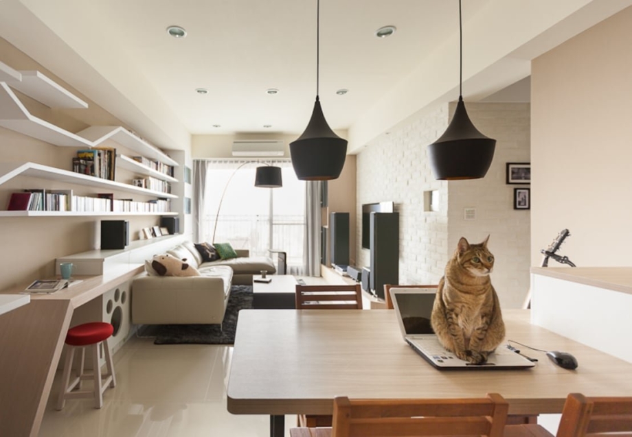 Flawless Cat