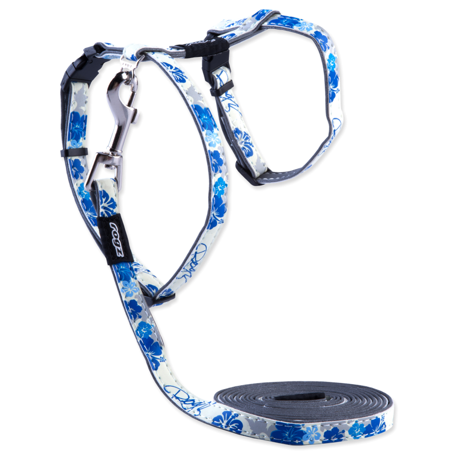 Ошейник Rogz GLOWCAT cb09 Blue