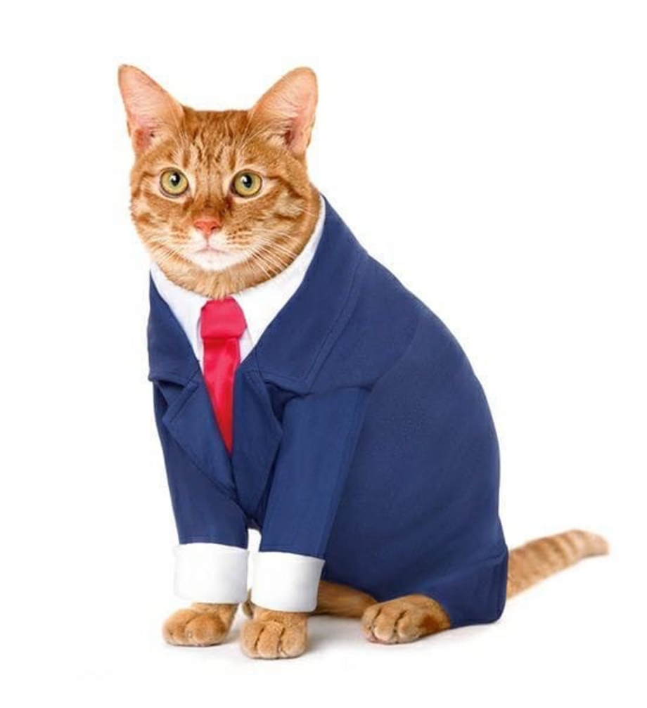Кот в пиджаке