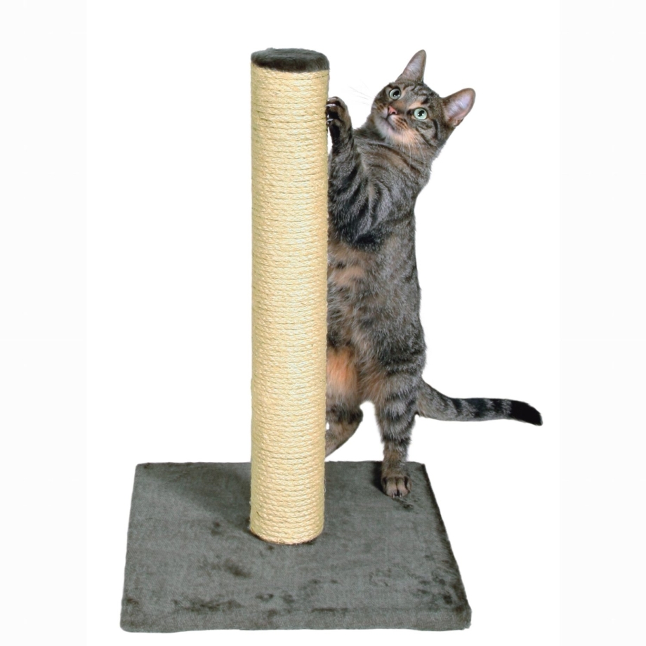 Scratching Post группа