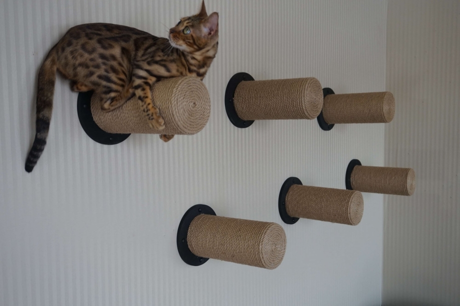 Настенный кошачий комплекс