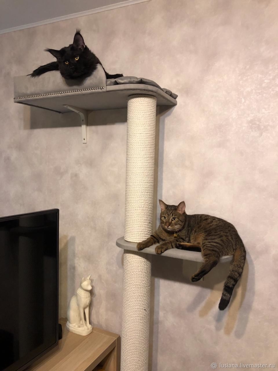Настенные лазалки для кошек