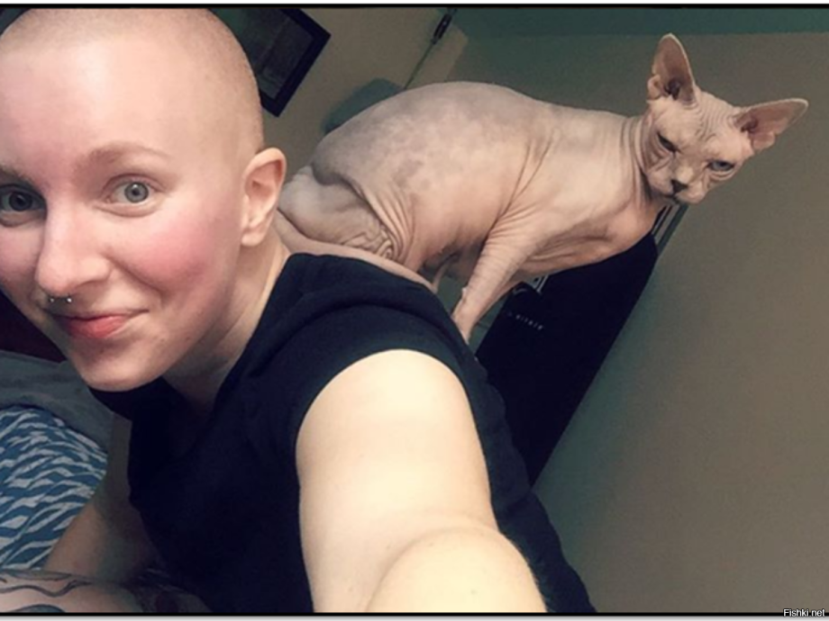Девушка с лысым котом