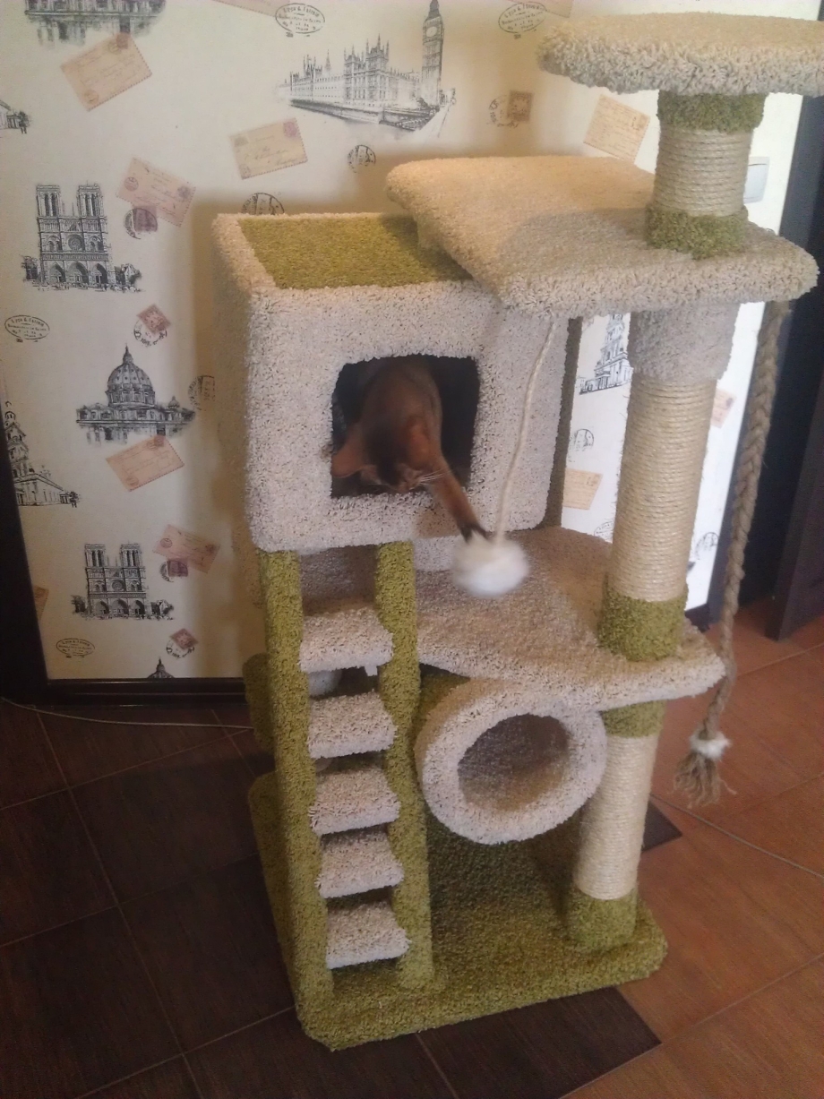 Кошачий домик