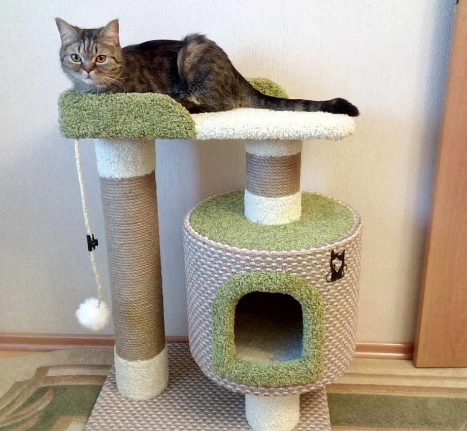 Кошкин дом для Мейн куна