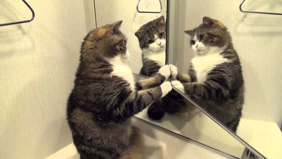 Зеркало «котик»