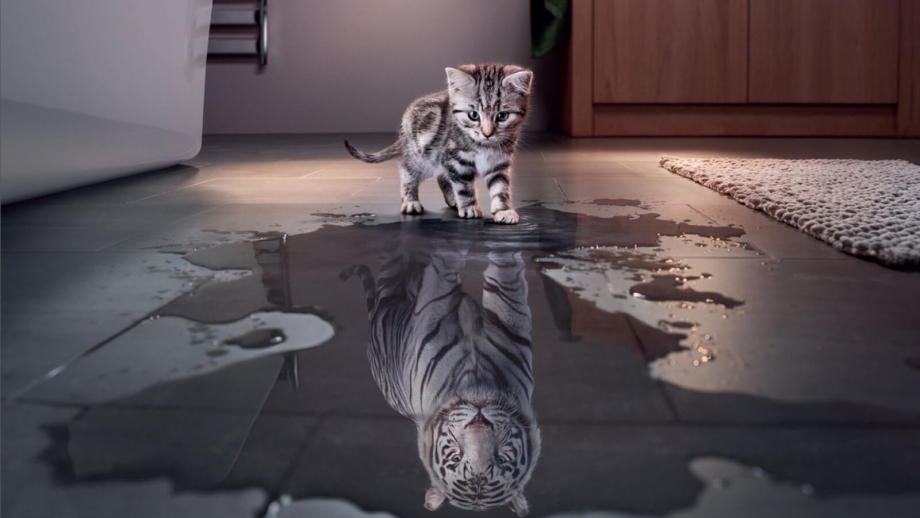 Котенок в отражении тигр
