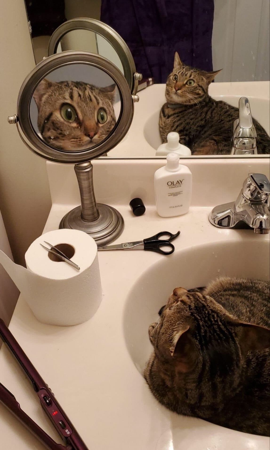 Зеркало «котик»