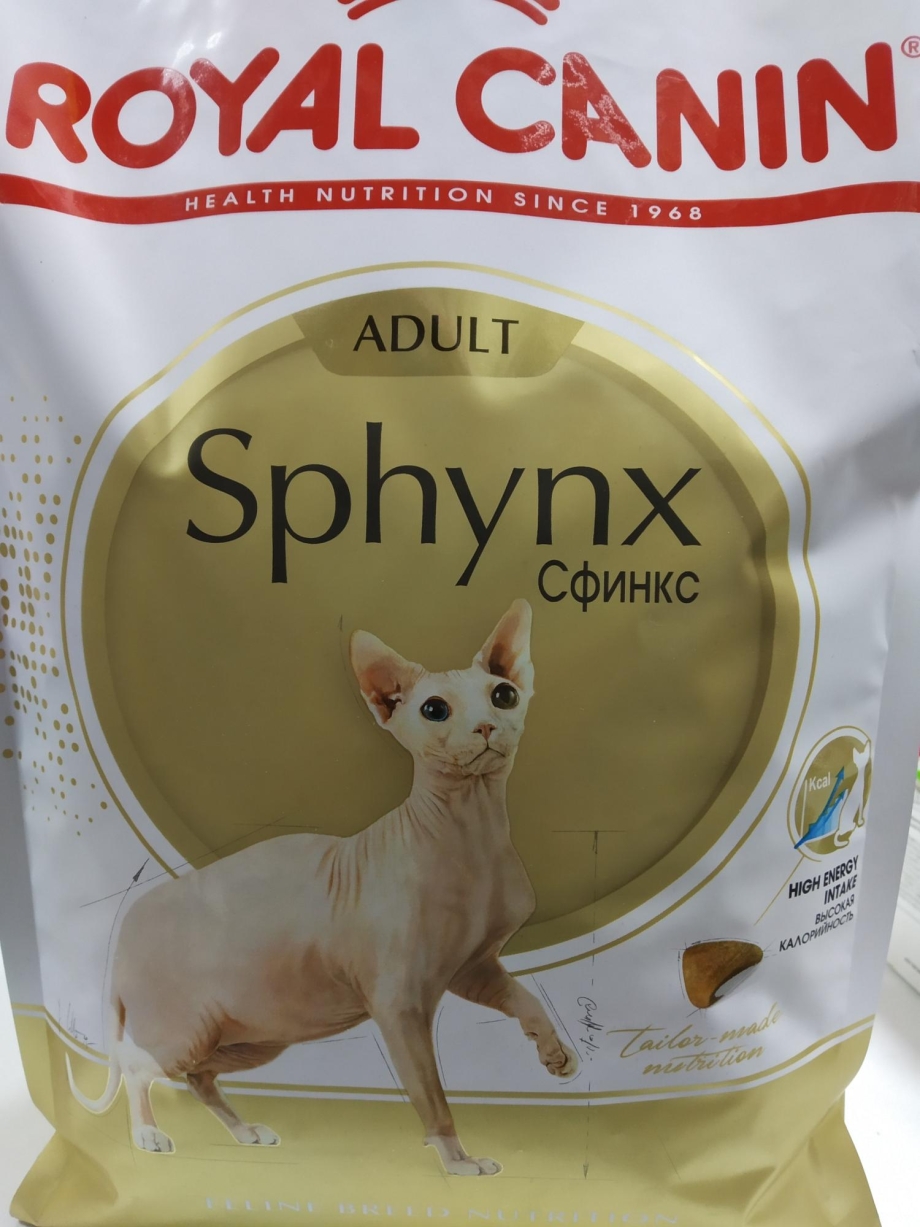 Royal Canin Sphynx для котят