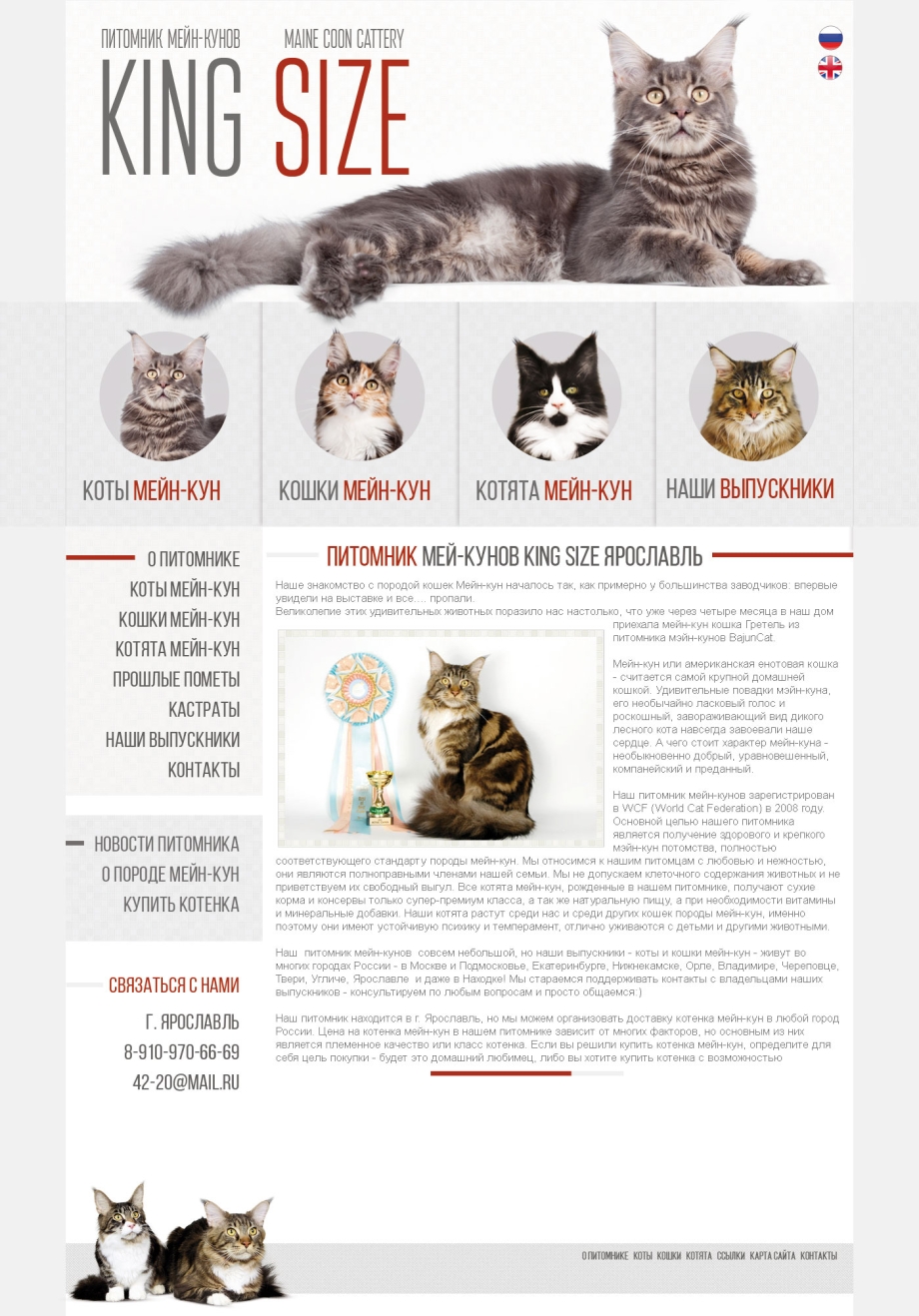 Вес котенка Мейн куна в 2 месяца
