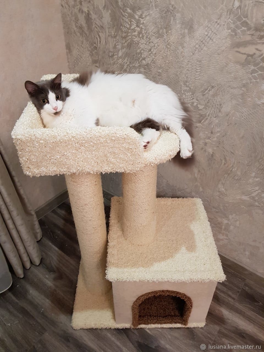 Домик для котика
