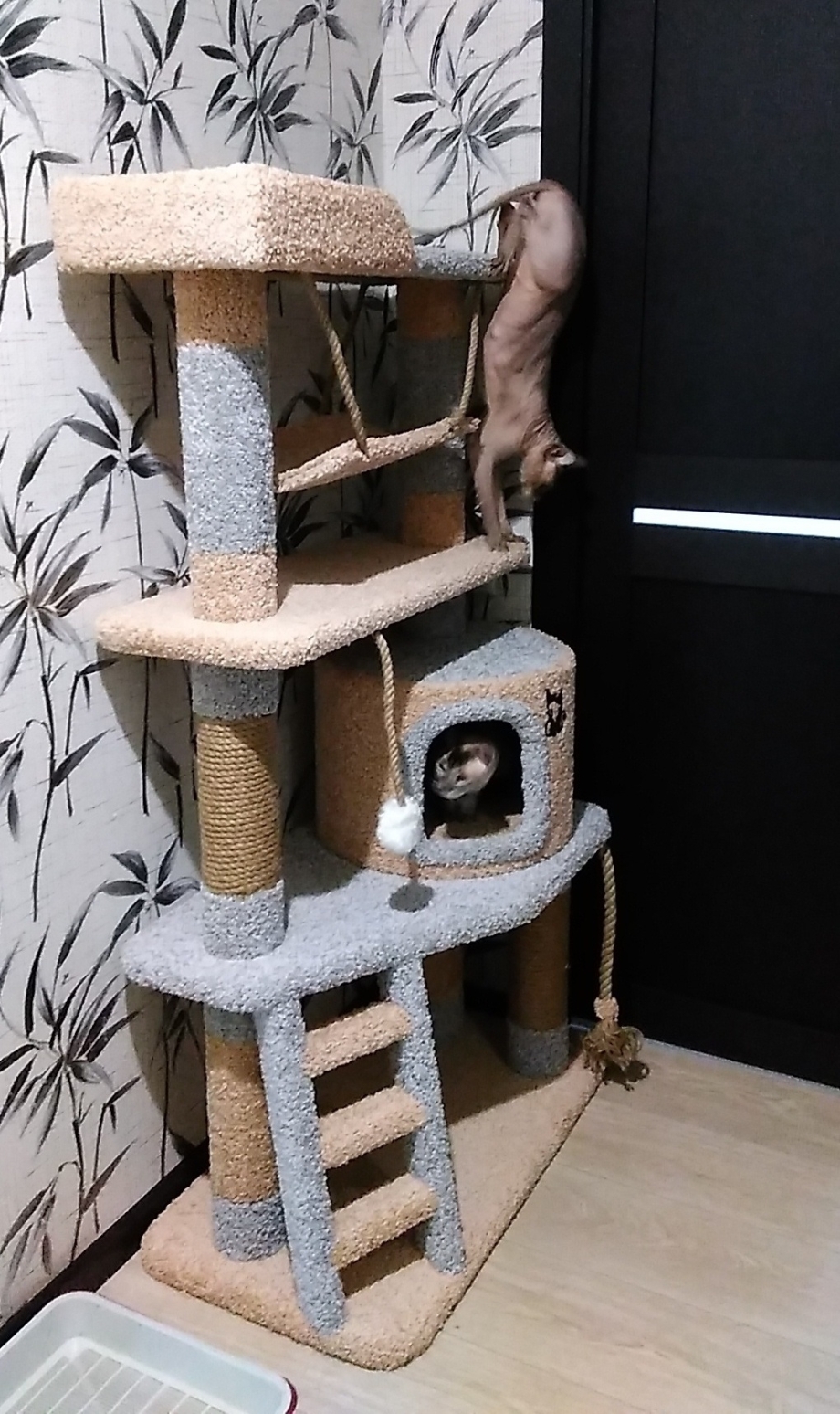 Домик для кошек