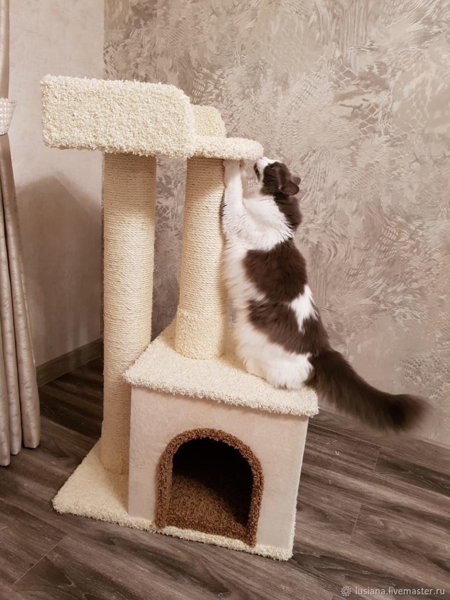 Домик для кошек