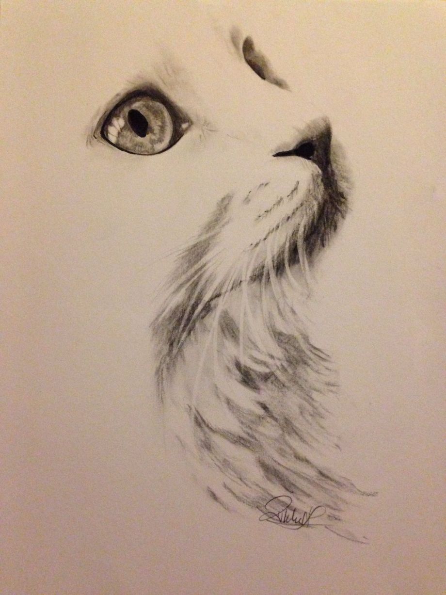 Художник Kellas Campbell