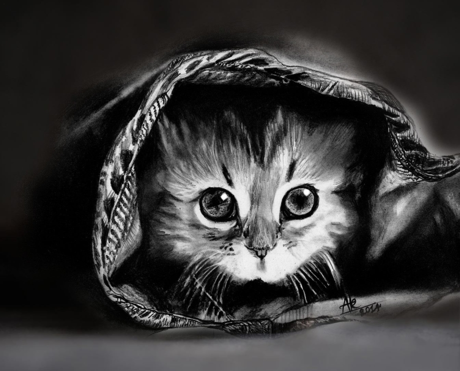 Котенок арт