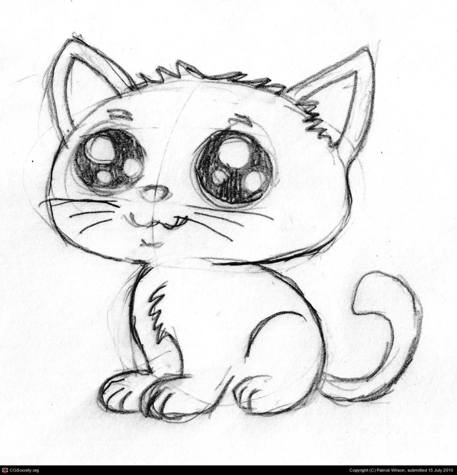 Котик рисунок карандашом